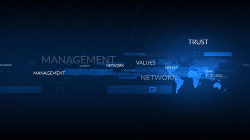 不符合重點軟件企業標準，網絡技術服務企業稅收優惠力度下降的挑戰與應對